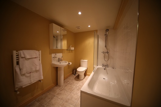 The en-suite bathroom of the family room